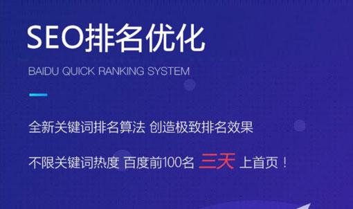 seo搜索引擎优化快排网站